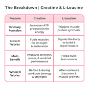One Sol Creatine+ Leucine 3-column