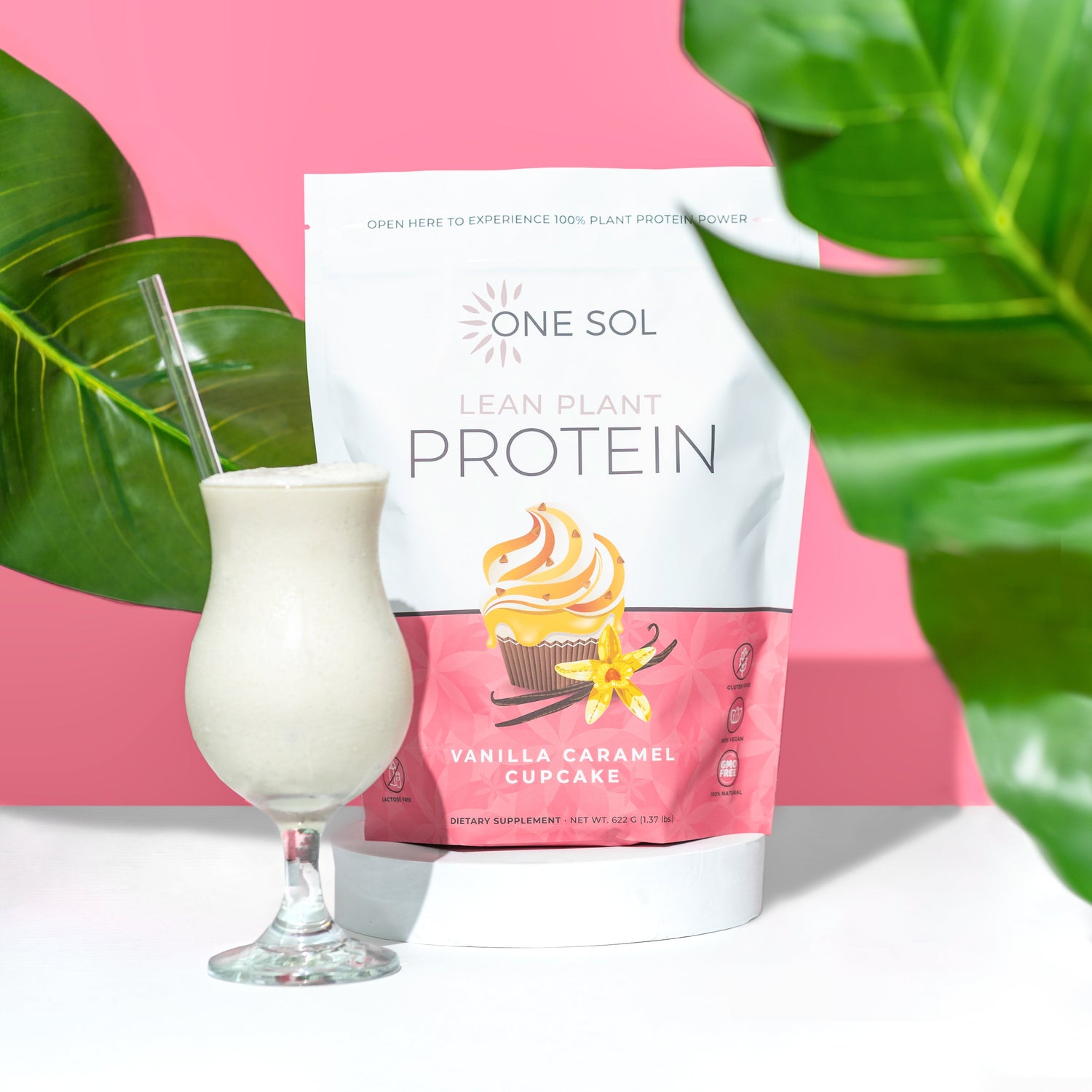 One Sol Lean Plant Protein Powder Horchata, Low Carb, Gluten Free, Lactose-Free