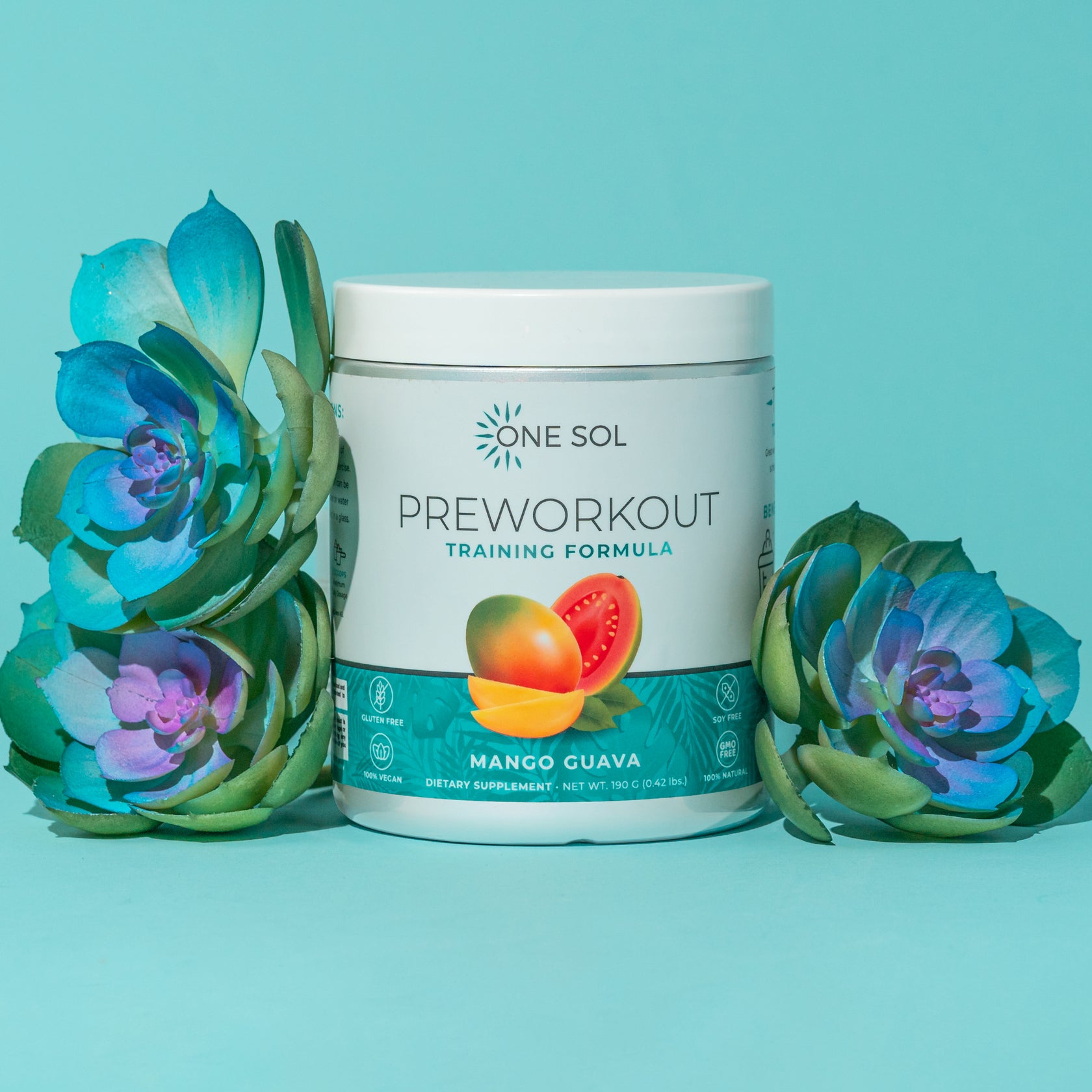 Pre Workout Training Formula ONE SOL™ Natural Plant Based Supplements